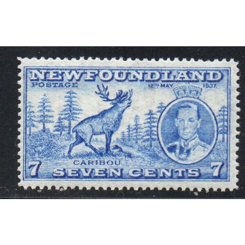 Newfoundland Sc 235 1937 7c G VI & Caribou stamp mint