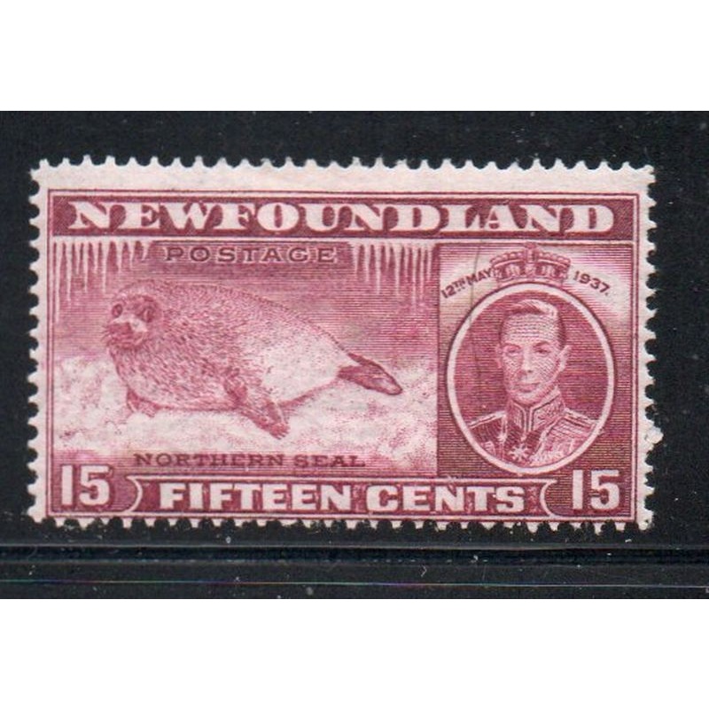 Newfoundland Sc 239 1937 15c G VI & Seal stamp mint