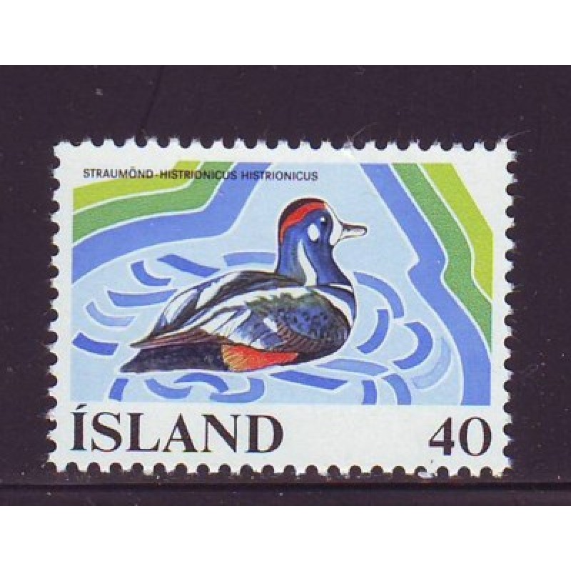 Iceland Sc 500 1977 Harlequin Duck stamp mint NH