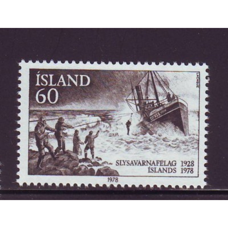 Iceland Sc 512 1978 Life Saving Society stamp mint NH