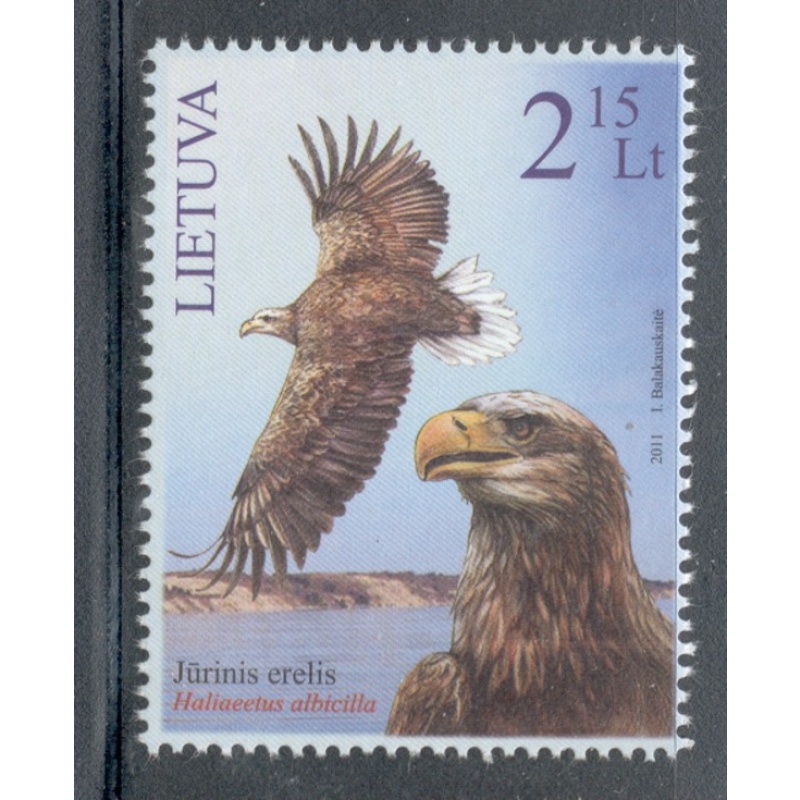 Lithuania Sc 954 2011 White Tailed Eagle stamp mint NH